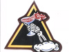 401st Fighter Squadron.