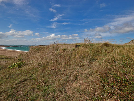 Alderney, M4 Wn 'Dohlenfest'