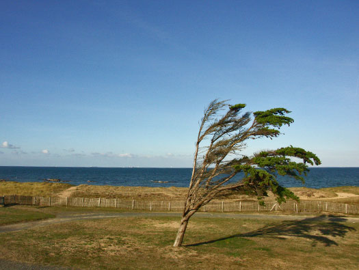 Sa106 'Clausewitz', K.V.A. Île de Noirmoutier