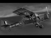Auster AOP