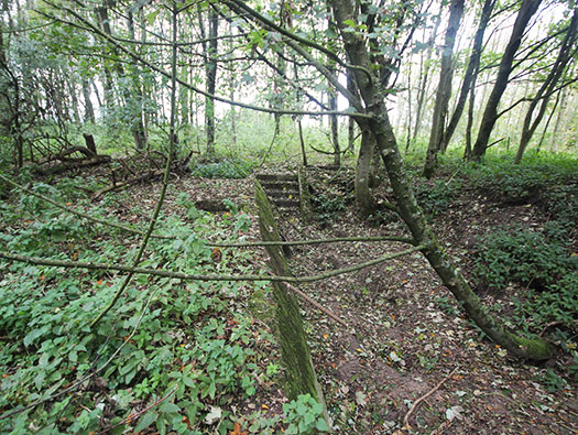 StP Ruin, Mont de Neufchâtel, Pas-De-Calais. PART 2