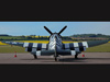 A Thunderbolt with D-Day stripes from behind.
