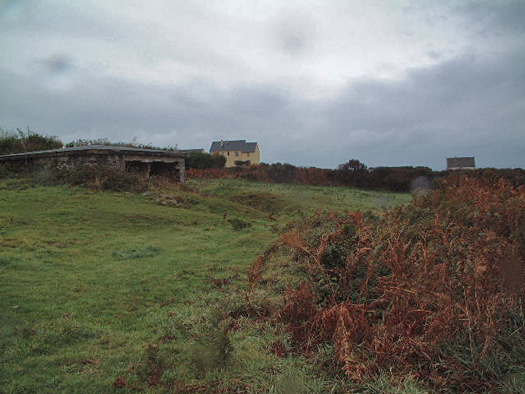 Wn349 Auderville la Roche, Luftwaffe station "Ammer".