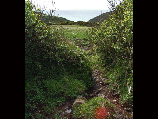 RAF Cleave
