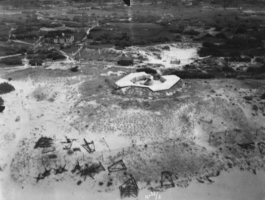 Ro425 ´Kora´, Ro429 'Korola', Ro424 'Käthe', Ile de Ré