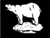 49th iv. The Polar Bears.