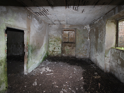 Wn349 Auderville la Roche, Luftwaffe station "Ammer".
