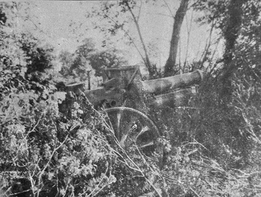 Batterie Digosville