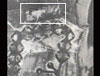 The white square is the area we are looking at here.