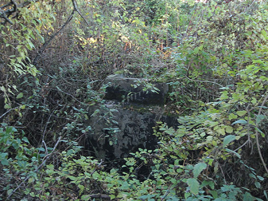 Führerhauptquartier ´Wolfsschlucht 2´ Flakstellung ´B´