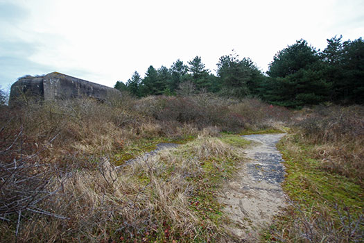 Merlimont Batterie