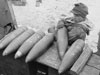 Ammunition.