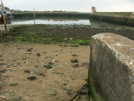 StP111 
  Port de St-Vaast