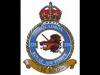 229 Squadron RAF.