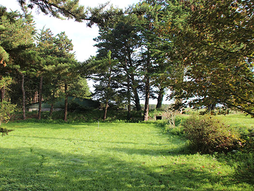 Wn92 Géfosse-Fontenay, Wigwam