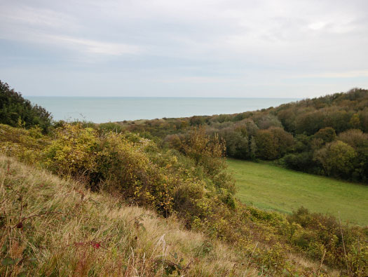 Wn65 St-Laurent-sur-Mer le Ruquet ouest