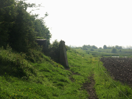 Wn99 Brévands le Châlet