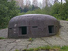 3P7  dome the type that would have been here.