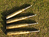 5cm shells.