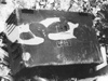 Parts of captured radar parts.