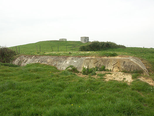 Die010 Mont Robin