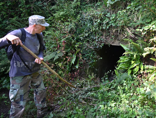 Wn28 
  Quettehou ville +
Quettehou Allée de L'Église Batterie
