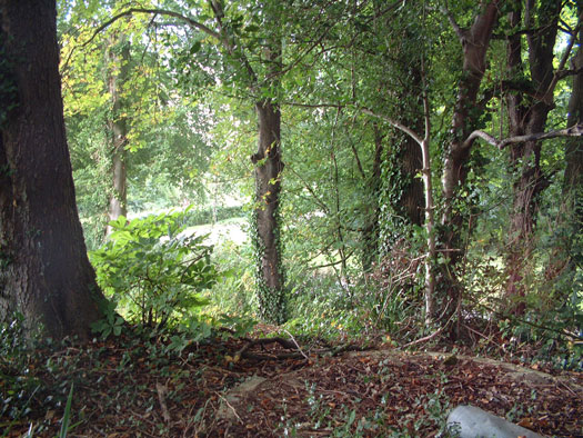 The Defence of White Mill Bridge Sturminster Marshall