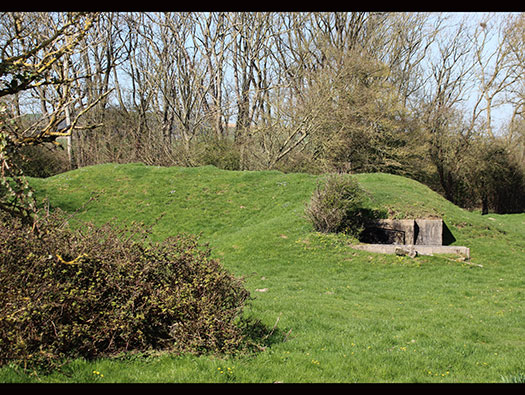 StP179 Stöllberg, Noir Bois