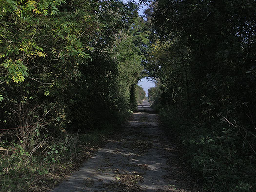 RAF Broadwell