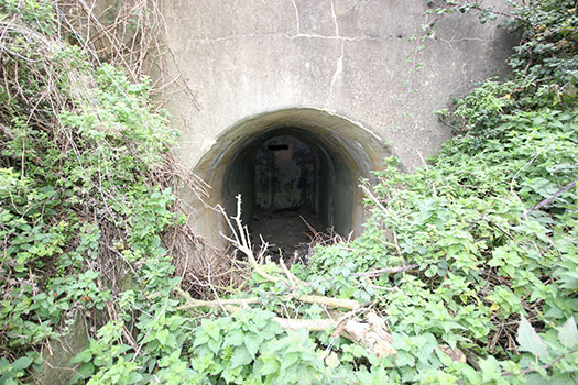 StP Ruine, Mont de Neufchâtel.