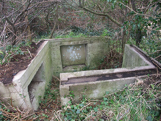 Wn165 Cosqueville étang du Pelat