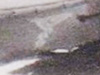 The Eagle with a Swastika in its talons the emblem of the unit. EF.