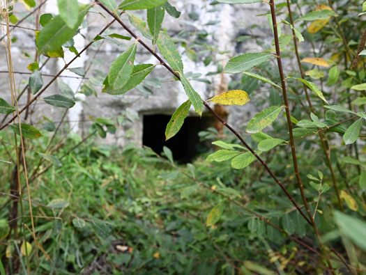 Flak La Hode, Saint-Vigor-d´Ymonville