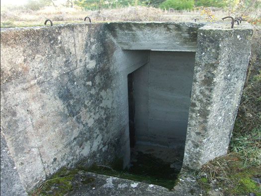 Ro425 ´Kora´, Ro429 'Korola', Ro424 'Käthe', Ile de Ré