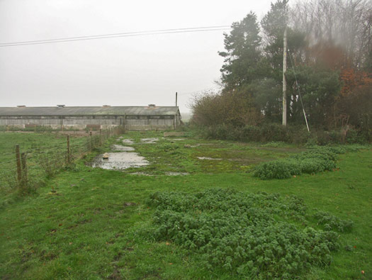 RAF Zeals