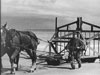 Being towed by a horse.