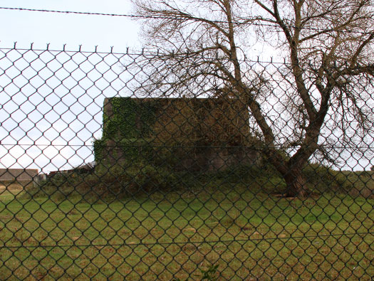 Wn Nz355 Camp de la Torpille