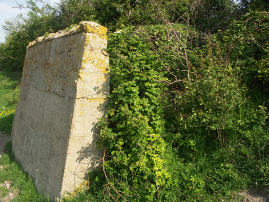Wn99 Brévands le Châlet