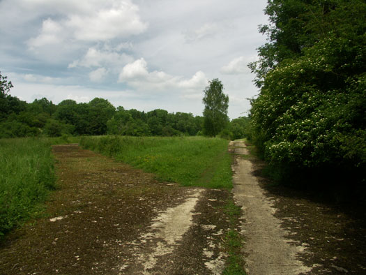 RAF Broadwell