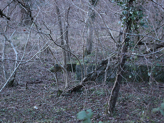 D3 Yellowham Wood