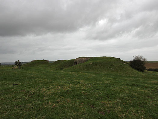 StP Ruine, Mont de Neufchâtel.