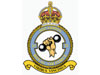 21 Squadron RAF.