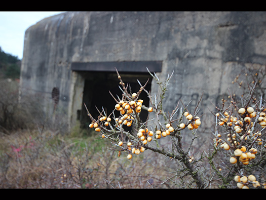 Merlimont Batterie