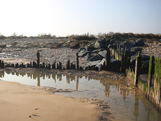 Wn35 Ver-sur-Mer, le Marais