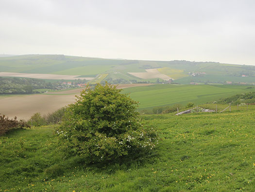 StP139 Hamm, Mont de Couple ouest