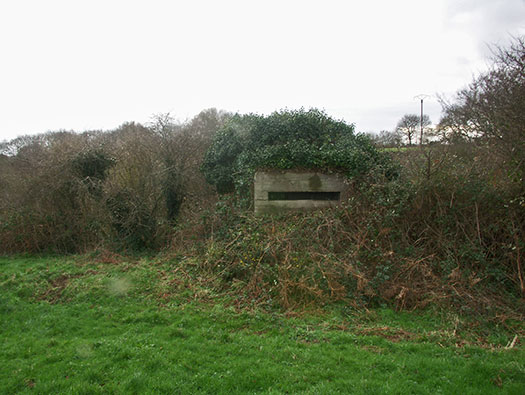 Wn165 Cosqueville étang du Pelat
