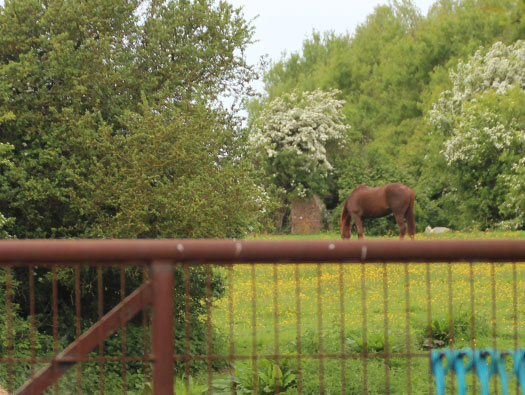 StP180 Schwarztal, Noirbernes
