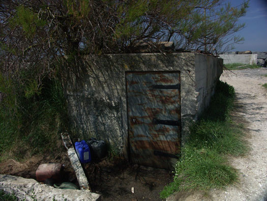 Wn81
Grandcamp-Maisy ouest,