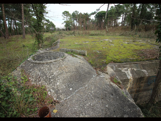 Gi09 Bon Anse 'Cosel' (North site)