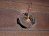 Blanking plug in place on another bunker.
